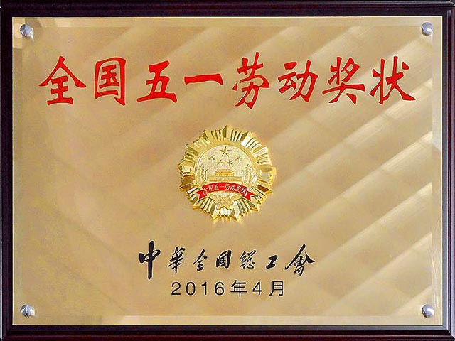 2016ȫһͶ״